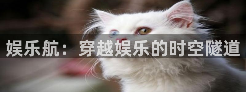 天辰娱乐下载