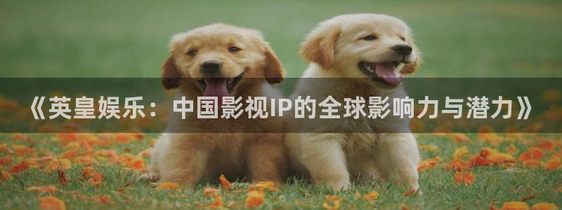 天辰娱乐登录