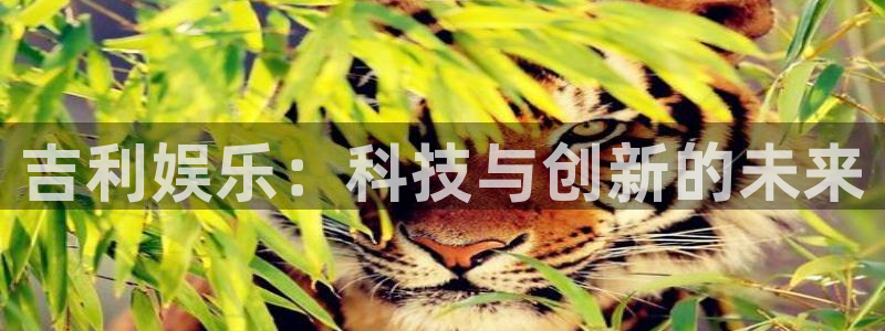 天辰娱乐